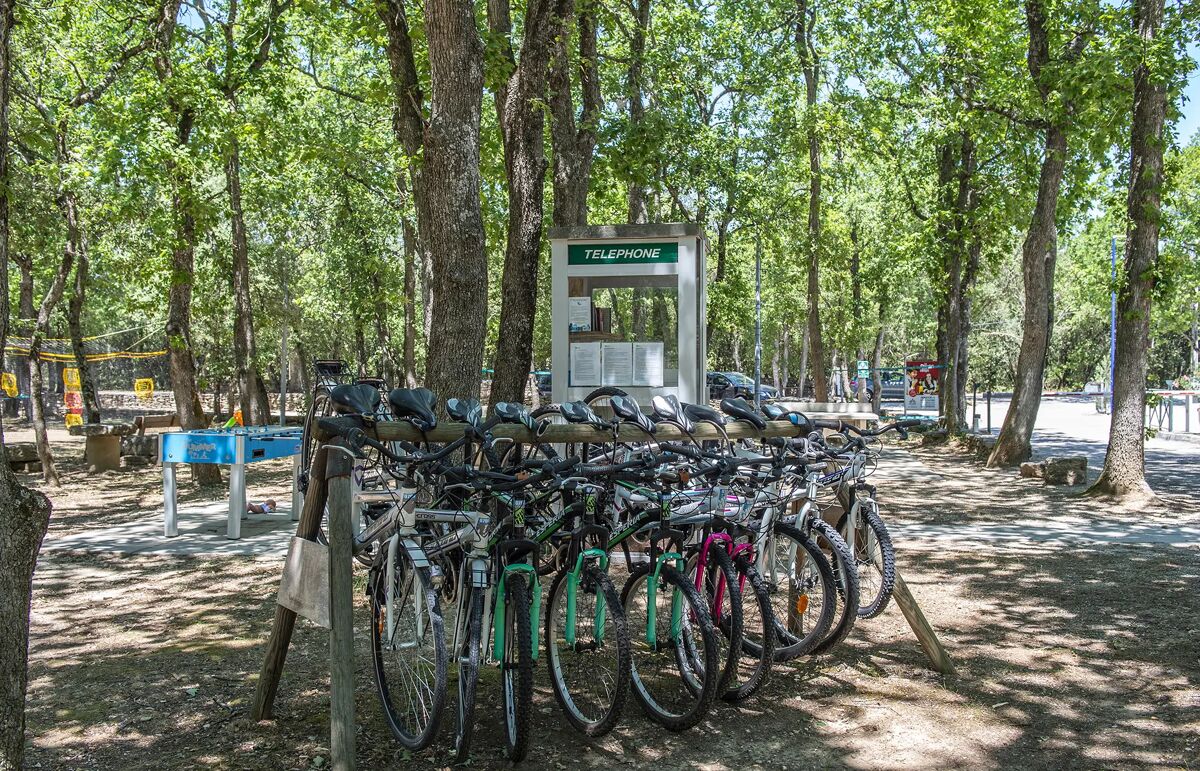 Camping Les Truffières - Activité 6