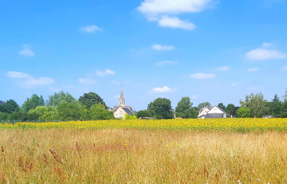 Camping Loire et Châteaux - Alentour 1