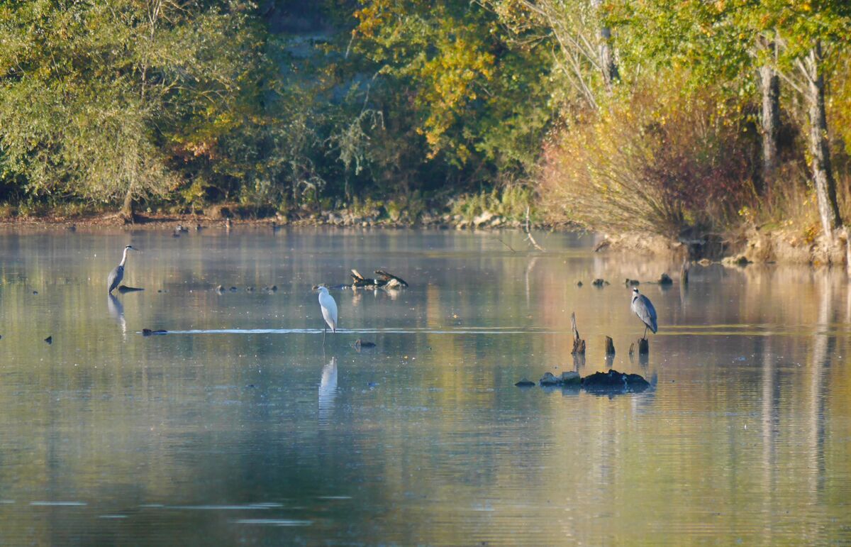 18 - Camping Lac aux Oiseaux - Alentour