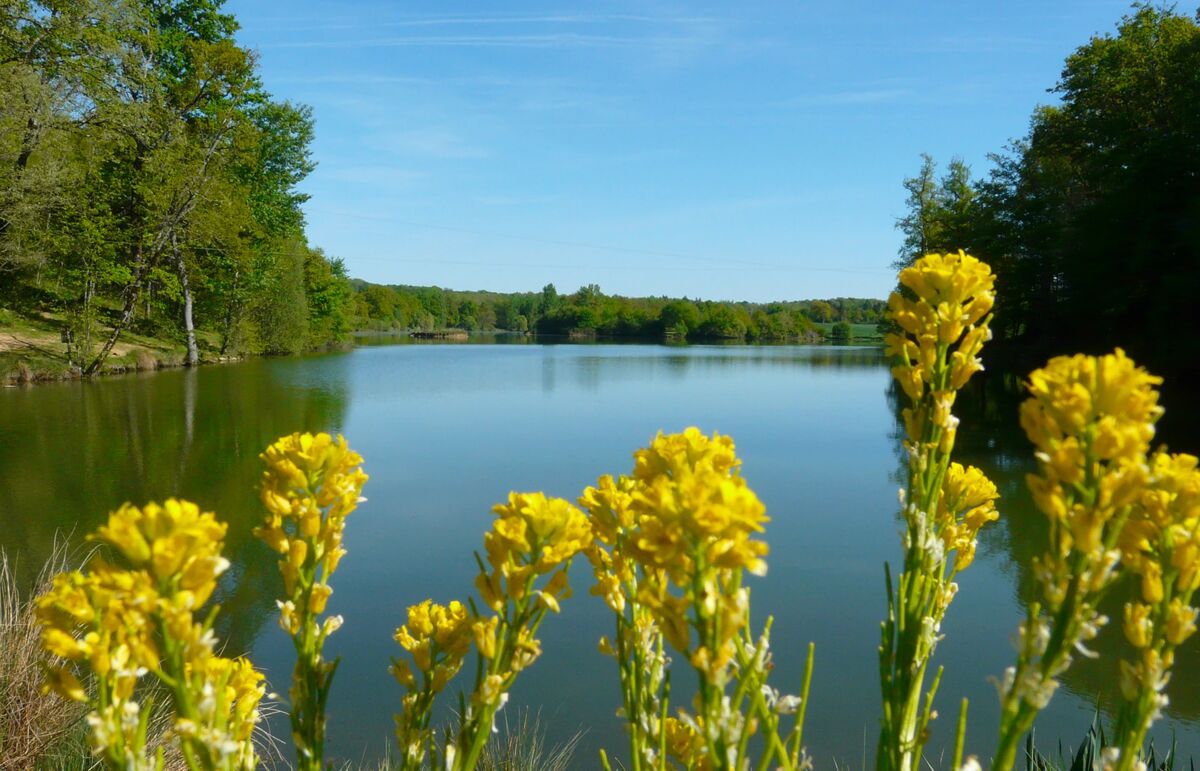 21 - Camping Lac aux Oiseaux - Alentour