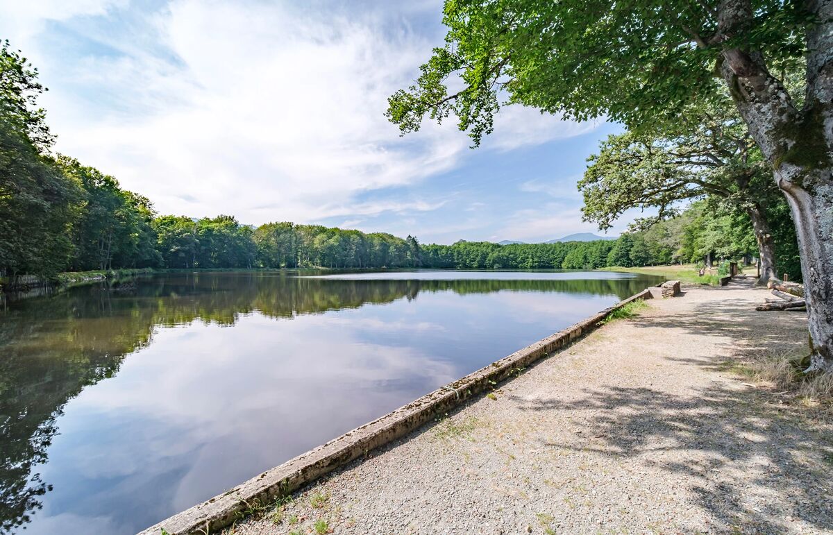 36 - Camping du Lac de la Seigneurie - Alentour