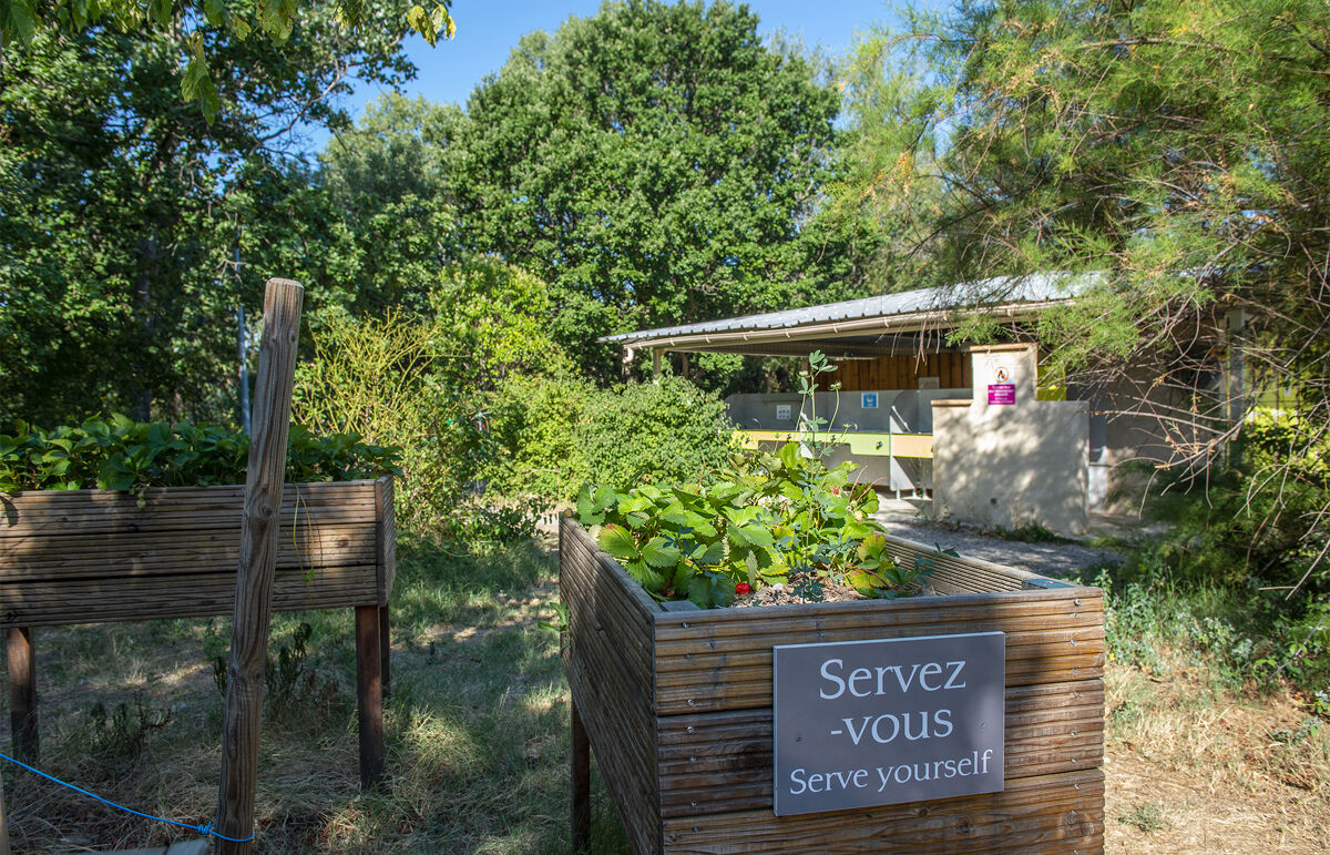 31  - Camping Les Rives de l'Aygues - Service