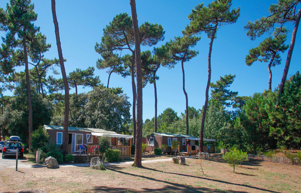 26 - Camping Monplaisir - Hébergement