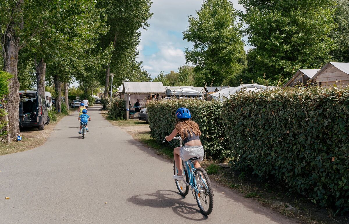 10 - Camping Le Bois d'Amour - Activité