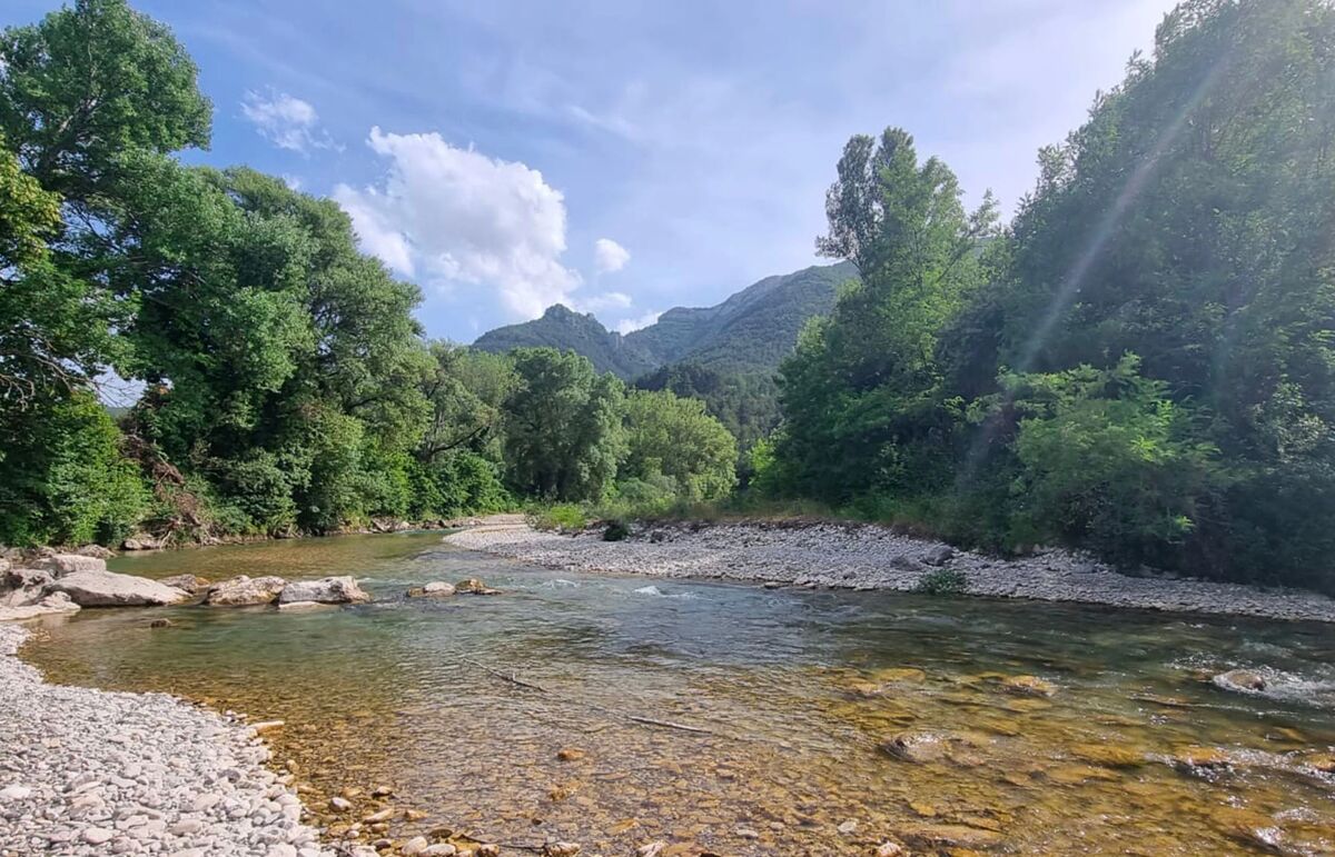 37 - Camping La Pinède - Alentour