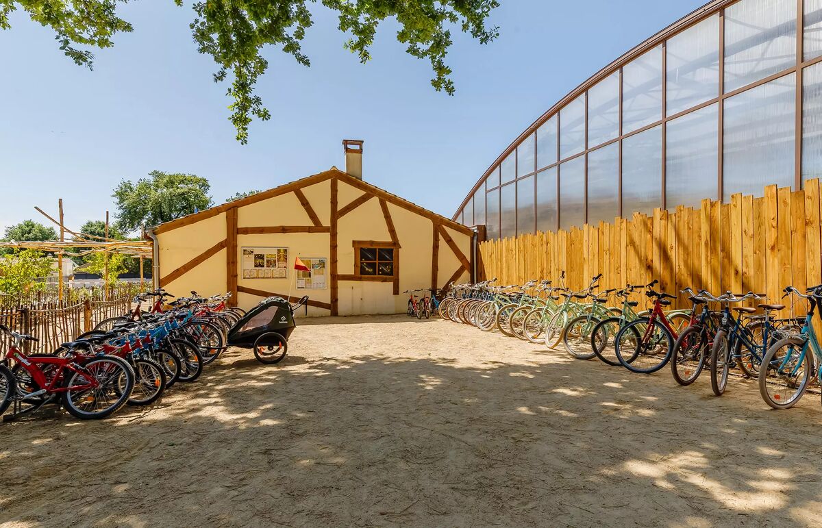 22 - Camping Au Bois des Biches - Activité