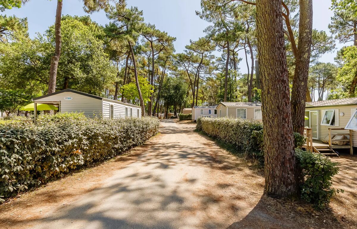 29 - Camping Au Bois des Biches - Hébergement
