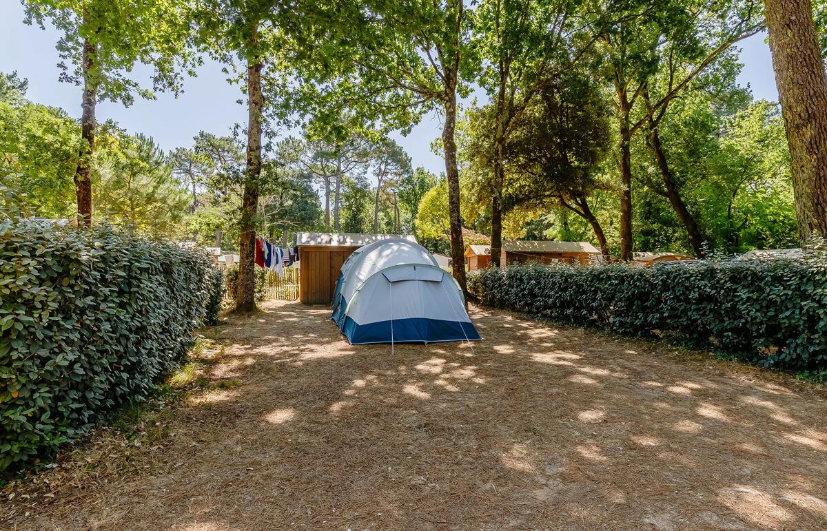 31 - Camping Au Bois des Biches - Hébergement
