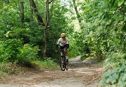 Forêt du Gâvre 