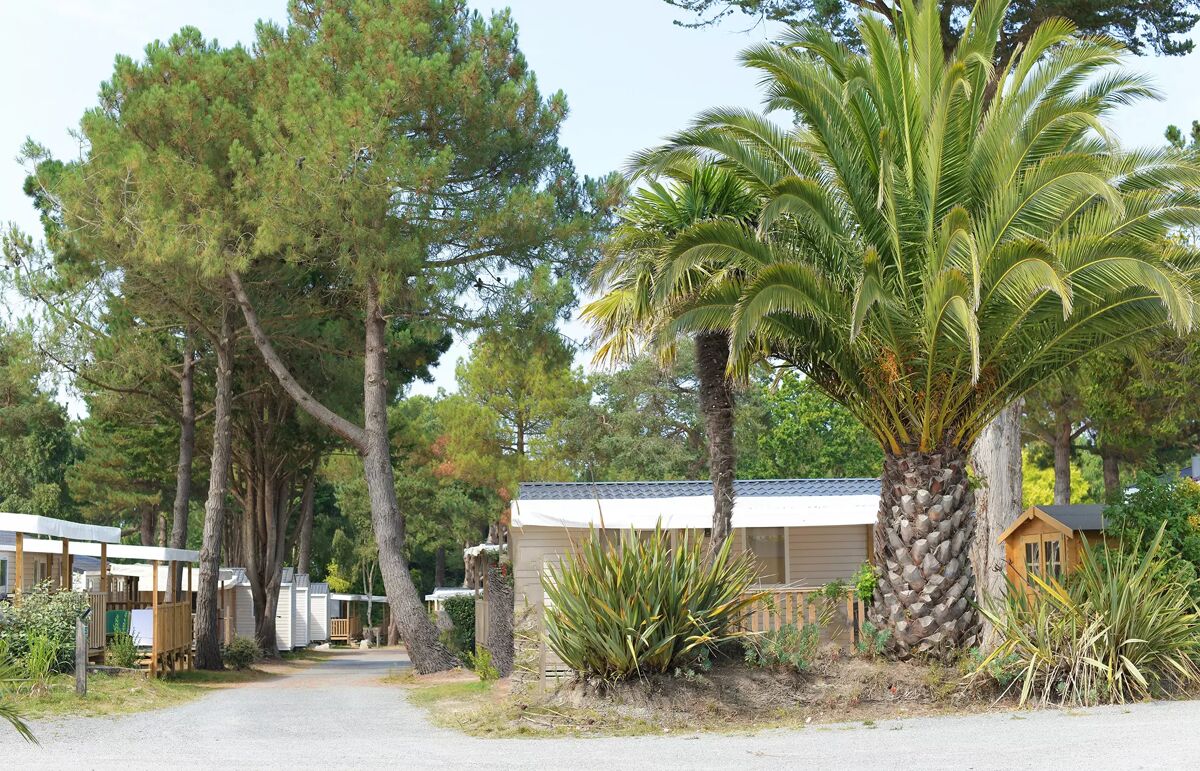 15 - Camping Le Vieux Moulin - Hébergement