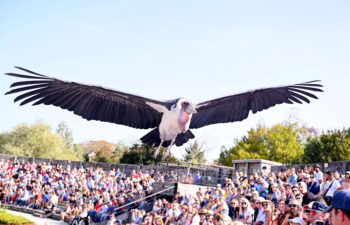 16 - Camping Les Plages de l'Ain - Alentour