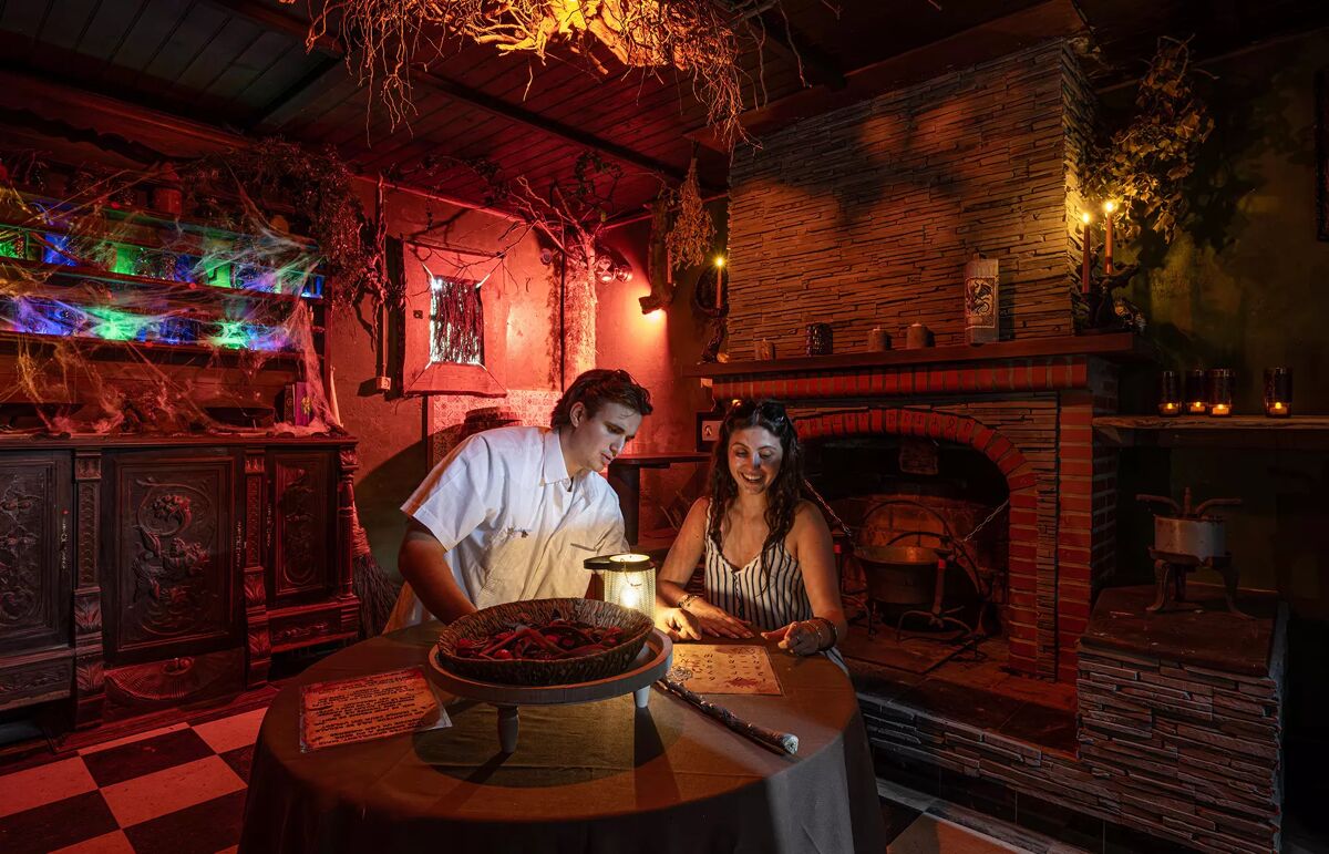 29 - Camping Au Bois des Biches