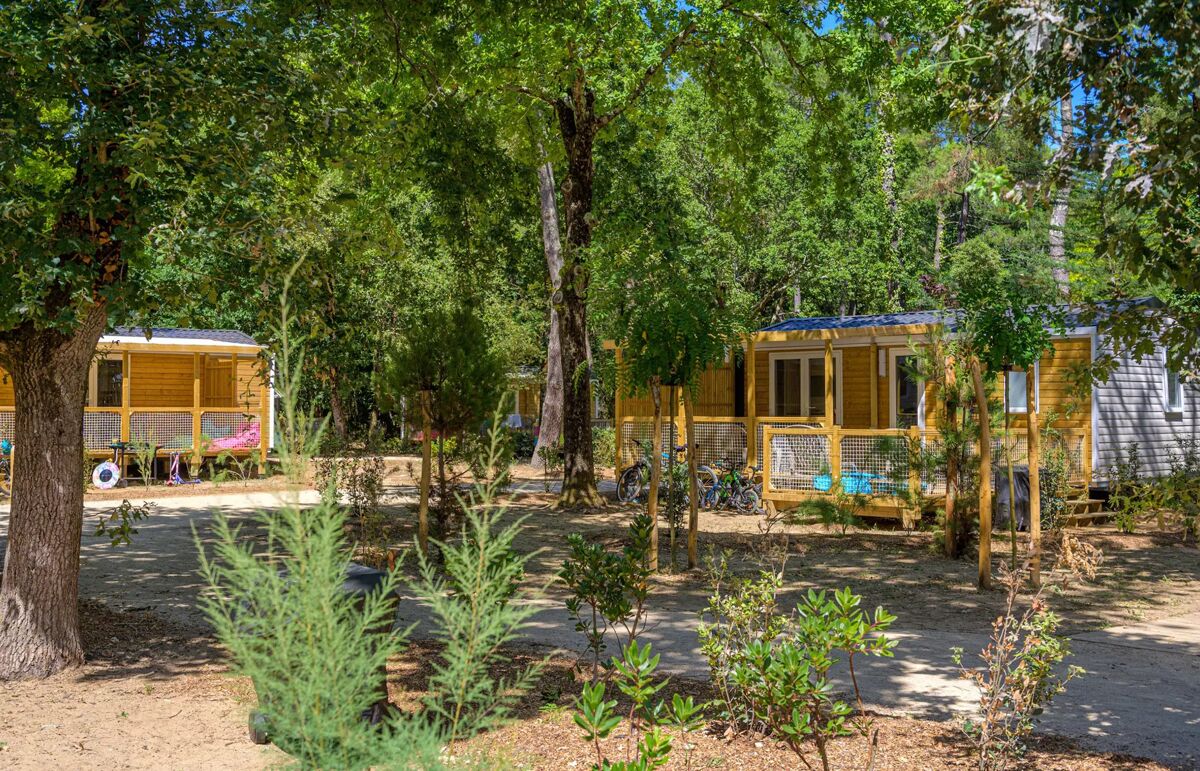 31 - Camping Au Bois des Biches