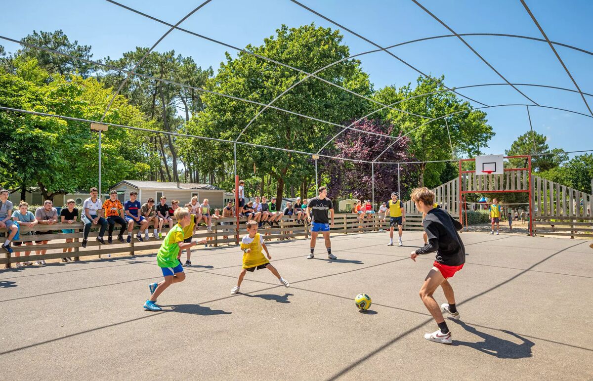 37 - Camping Au Bois des Biches