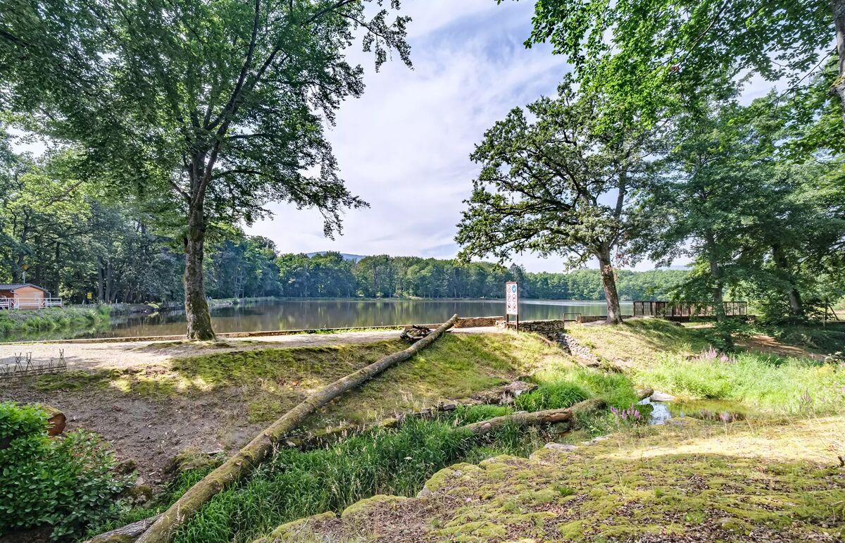 36 - Caping du Lac de la Seigneurie - Alentour