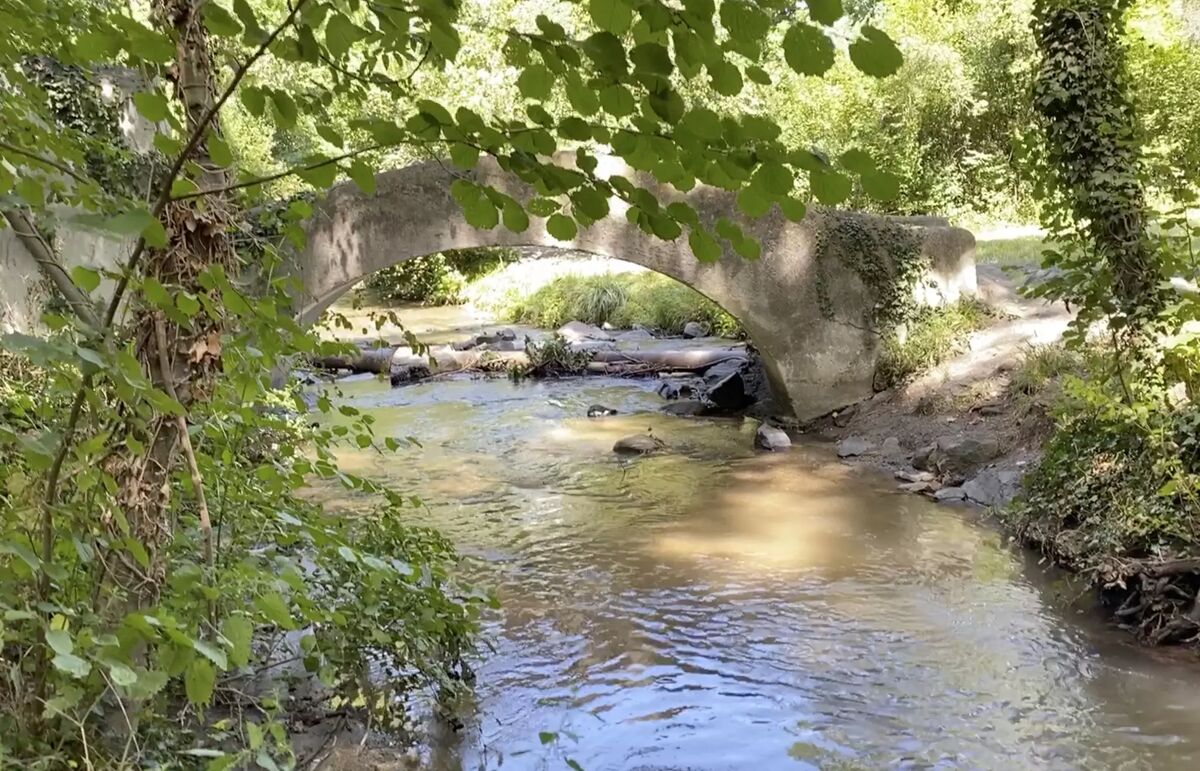 21 - Camping Le Clos Auroy - Alentour