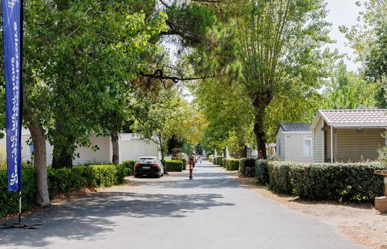 02 - Camping Escale du Perthuis - Situation