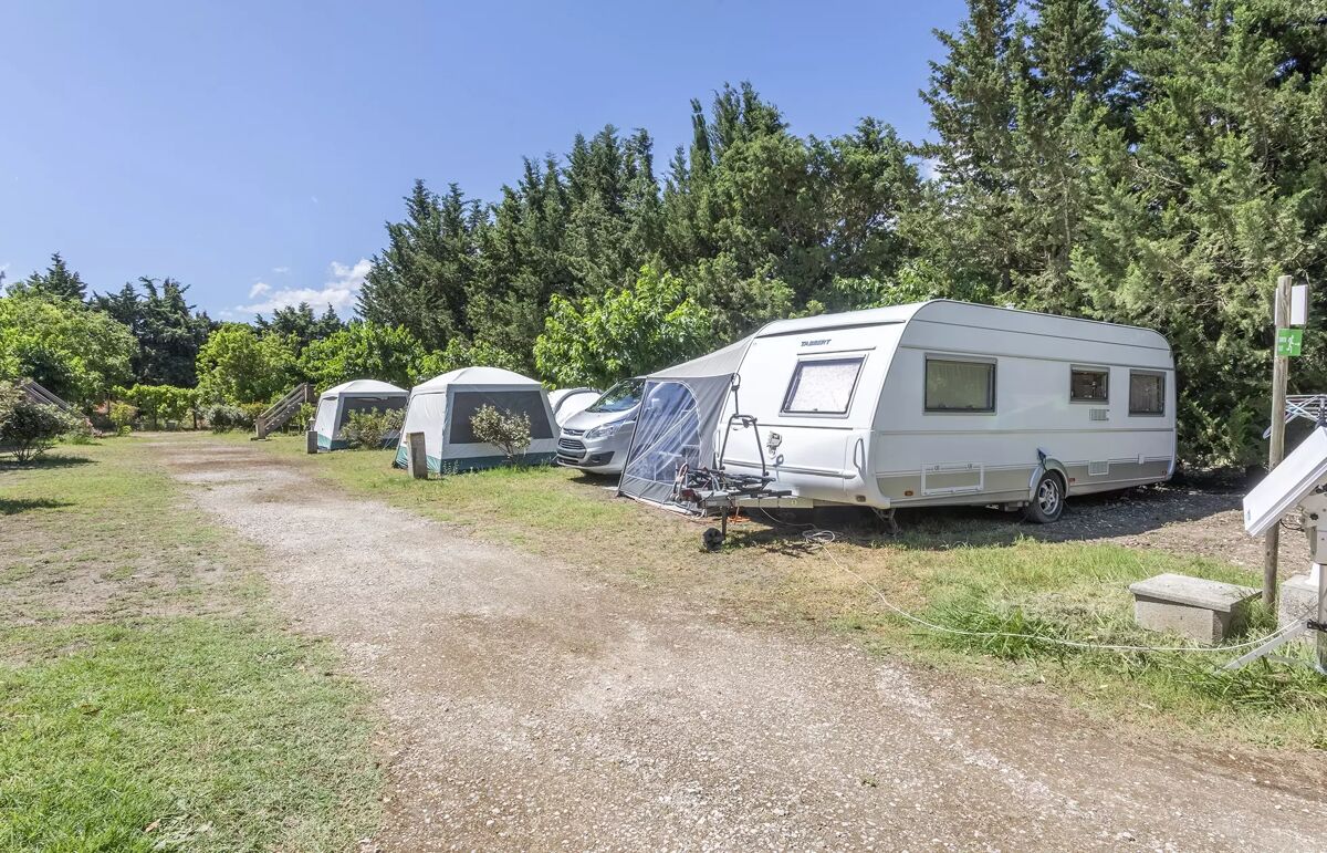 29 - Camping Les Micocouliers - Hébergement