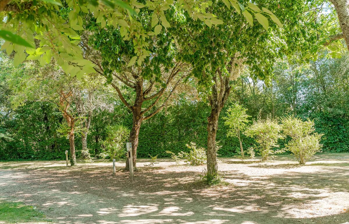 29 - Camping du Canal - Hébergement