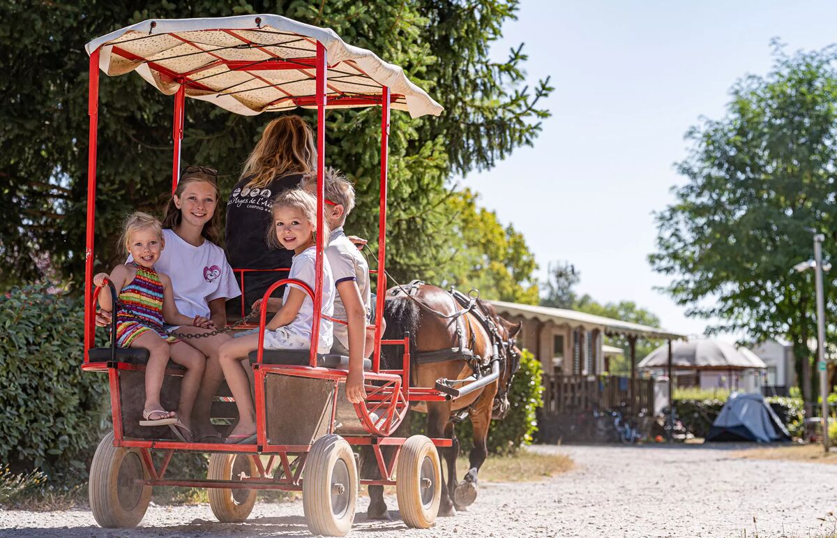 11 - Camping Les Plages de l'Ain - Activité